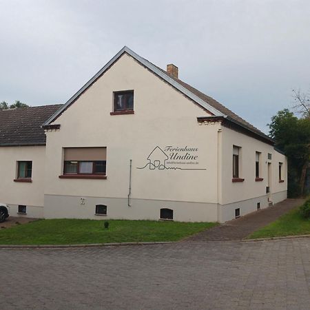 Ferienhaus Undine Mit E-Auto-Ladestation Oranienbaum-Woerlitz Exterior foto